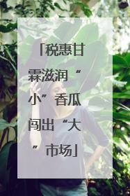 税惠甘霖滋润“小”香瓜闯出“大”市场