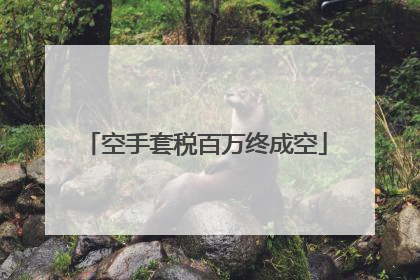 空手套税百万终成空