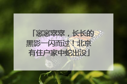 窸窸窣窣，长长的黑影一闪而过！北京有住户家中蛇出没