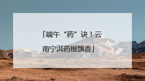 端午“药”诀！云南宁洱药根飘香