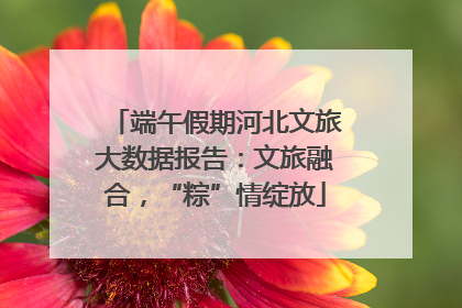 端午假期河北文旅大数据报告：文旅融合，“粽”情绽放