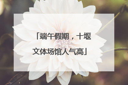 端午假期，十堰文体场馆人气高
