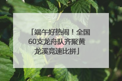 端午好热闹！全国60支龙舟队齐聚黄龙溪竞速比拼