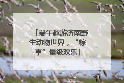 端午趣游济南野生动物世界，“粽享”量级欢乐