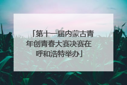 第十一届内蒙古青年创青春大赛决赛在呼和浩特举办
