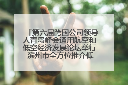 第六届跨国公司领导人青岛峰会通用航空和低空经济发展论坛举行 滨州市全方位推介低空经济发展优势