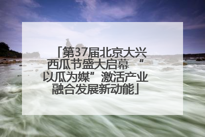 第37届北京大兴西瓜节盛大启幕 “以瓜为媒”激活产业融合发展新动能