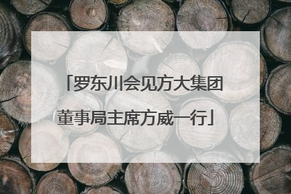 罗东川会见方大集团董事局主席方威一行