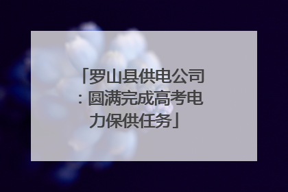 罗山县供电公司：圆满完成高考电力保供任务