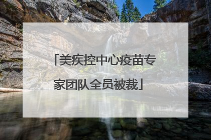美疾控中心疫苗专家团队全员被裁