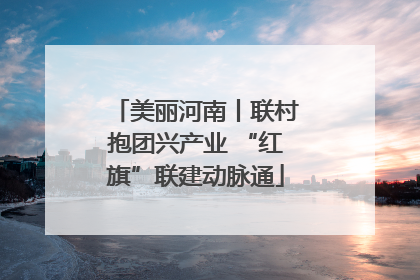 美丽河南丨联村抱团兴产业 “红旗”联建动脉通