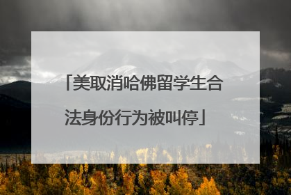 美取消哈佛留学生合法身份行为被叫停