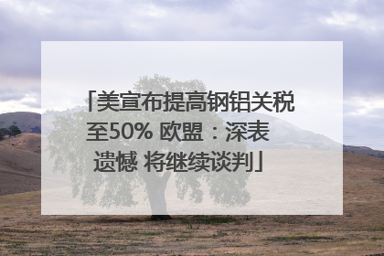 美宣布提高钢铝关税至50% 欧盟：深表遗憾 将继续谈判