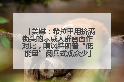 美媒：希拉里用挤满街头的示威人群画面作对比，嘲讽特朗普“低能量”阅兵式观众少