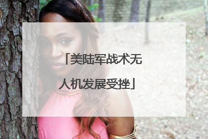 美陆军战术无人机发展受挫