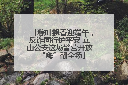 粽叶飘香迎端午，反诈同行护平安 立山公安这场警营开放“嗨”翻全场
