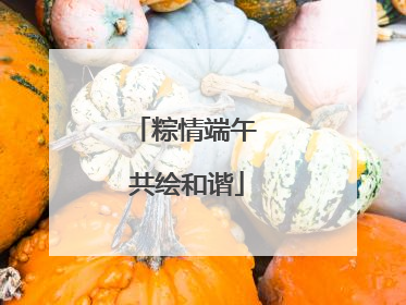粽情端午 共绘和谐
