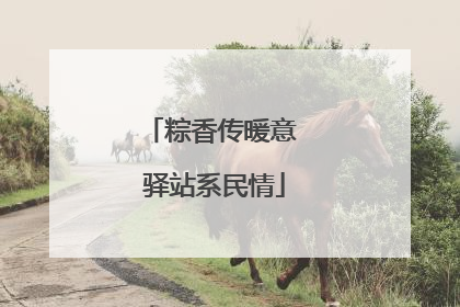 粽香传暖意 驿站系民情