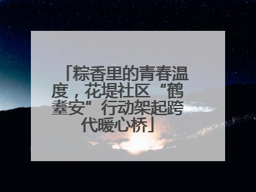 粽香里的青春温度，花堤社区“鹤耋安”行动架起跨代暖心桥