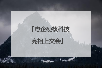 粤企硬核科技亮相上交会