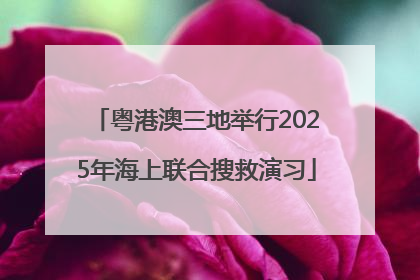 粤港澳三地举行2025年海上联合搜救演习
