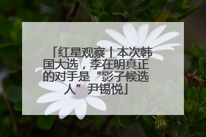 红星观察丨本次韩国大选，李在明真正的对手是“影子候选人”尹锡悦