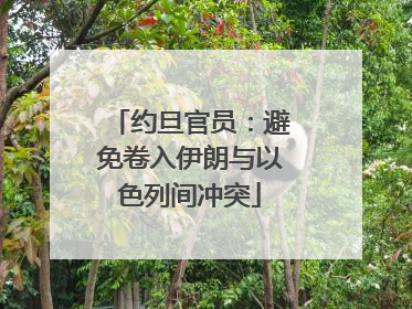 约旦官员：避免卷入伊朗与以色列间冲突