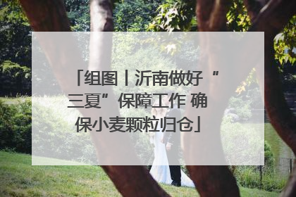 组图丨沂南做好“三夏”保障工作 确保小麦颗粒归仓