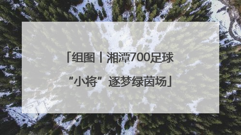 组图丨湘潭700足球“小将”逐梦绿茵场