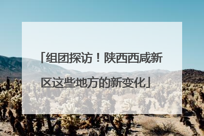 组团探访！陕西西咸新区这些地方的新变化