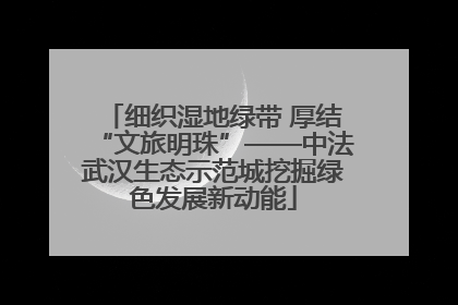 细织湿地绿带 厚结“文旅明珠”——中法武汉生态示范城挖掘绿色发展新动能
