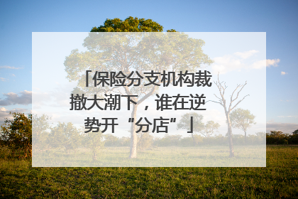 保险分支机构裁撤大潮下，谁在逆势开“分店”