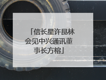 信长星许昆林会见中兴通讯董事长方榕