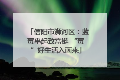 信阳市浉河区：蓝莓串起致富链 “莓”好生活入画来