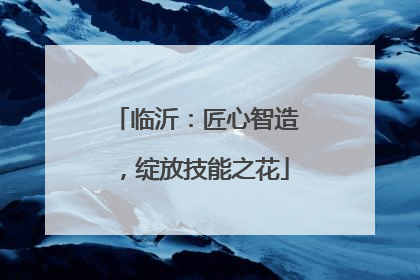 临沂：匠心智造，绽放技能之花
