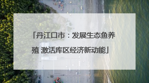 丹江口市：发展生态鱼养殖 激活库区经济新动能