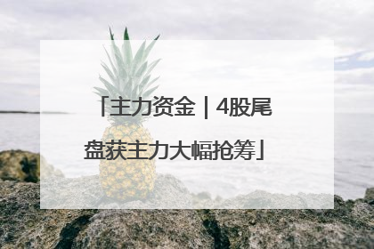 主力资金｜4股尾盘获主力大幅抢筹