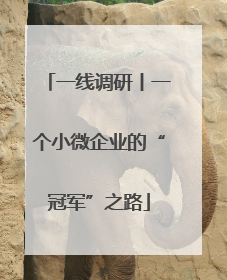 一线调研丨一个小微企业的“冠军”之路