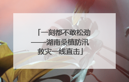 一刻都不敢松劲——湖南桑植防汛救灾一线直击