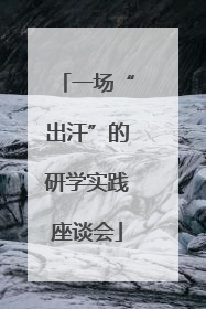 一场“出汗”的研学实践座谈会