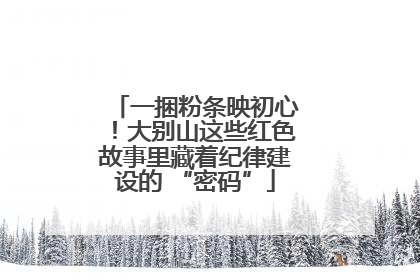一捆粉条映初心！大别山这些红色故事里藏着纪律建设的 “密码”