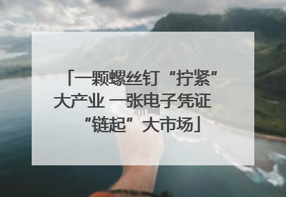 一颗螺丝钉“拧紧”大产业 一张电子凭证“链起”大市场