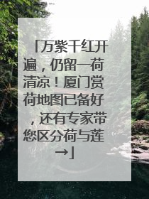 万紫千红开遍，仍留一荷清凉！厦门赏荷地图已备好，还有专家带您区分荷与莲→
