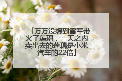 万万没想到雷军带火了莲藕，一天之内卖出去的莲藕是小米汽车的22倍