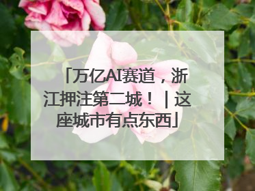万亿AI赛道，浙江押注第二城！｜这座城市有点东西