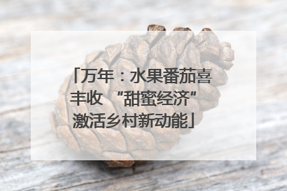 万年：水果番茄喜丰收 “甜蜜经济”激活乡村新动能