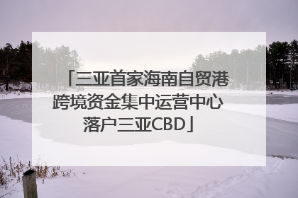 三亚首家海南自贸港跨境资金集中运营中心落户三亚CBD