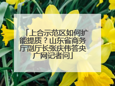 上合示范区如何扩能提质？山东省商务厅副厅长张庆伟答央广网记者问
