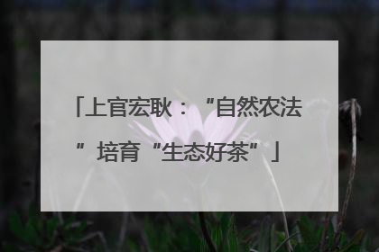 上官宏耿：“自然农法”培育“生态好茶”