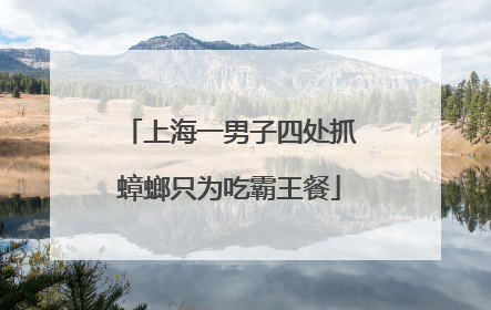 上海一男子四处抓蟑螂只为吃霸王餐